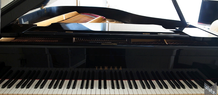 毎年きちんと調律された内側スタインウェイ製のグランドピアノをお楽しみください。