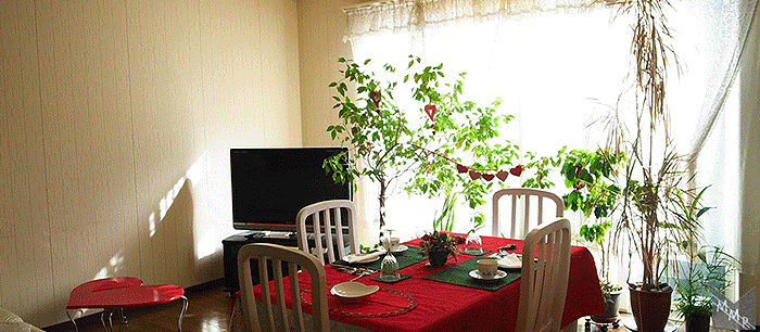 部屋奥にはTVとソファとくすくす育った植木がございます。